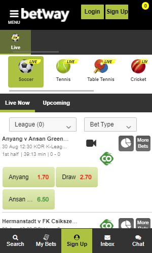 Betway Zambia Review & Test (2023) with Pros & Cons .